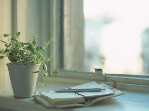 window-flower-plant-notebook-diary-notepad-pen-reflection-light-day