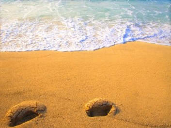 Seth Tom Paine Picture